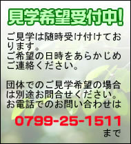 見学希望受付中！